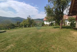 Rakovica,kuće sa dodatnim građevnim terenom i projektom, 17000 m2, Rakovica, Famiglia