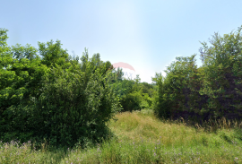 Motovun okolica,  poljoprivrdno zemljište 73837 m2, Karojba, Land