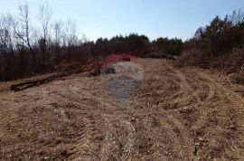 Istra, Buzet, poljoprivredno zemljište i šuma, Buzet, Land