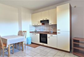 Istra,Umag,Apartmanska kuća, Umag, Maison