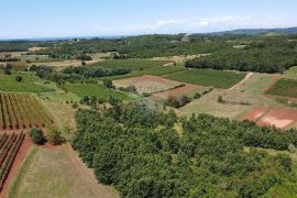 Istra, Vižinada, poljoprivredno zemljište 10286 m2, Vižinada, أرض