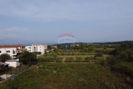 Istra , Novigrad - Građevinsko zemljište za izgradnju 5 stanova, Novigrad, Terrain