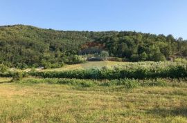 Središnja Istra, građevinsko zemljište s lijepim pogledom, Pazin - Okolica, Terra