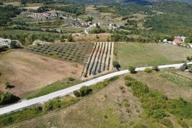 Središnja Istra, građevinsko zemljište s lijepim pogledom, Pazin - Okolica, Terra