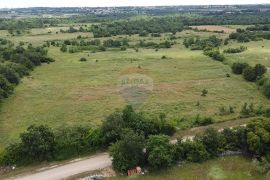 Istra, Tar, poljoprivredno zemljište 10054 m2, Poreč, Tierra