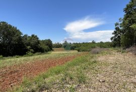 Kaštelir, okolica - poljoprivredno zemljište ukupne kvadrature 22708 m2, Kaštelir-Labinci, Terra