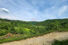 Istra, Buzet, - HITNA PRODAJA - imanje po 1e/m2, Buzet, Land