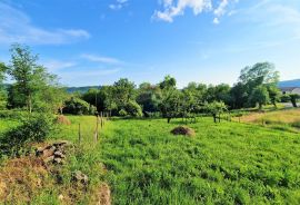 Istra,okolica Buzeta-Građevinsko zemljište u mirnom okruženju, Buzet, Terra