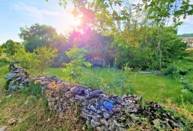 Istra,okolica Buzeta-Građevinsko zemljište u mirnom okruženju, Buzet, Terra