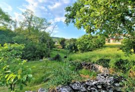 Istra,okolica Buzeta-Građevinsko zemljište u mirnom okruženju, Buzet, Terra