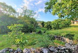 Istra,okolica Buzeta-Građevinsko zemljište u mirnom okruženju, Buzet, Terra