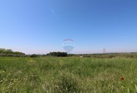 Građevinsko zemljište s pogledom na more, Poreč, Arazi