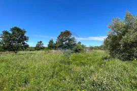 Poreč - okolica, 2 autohtone kamene kuće sa pogledom na more i kombinacijom građevinskog i poljoprivrednog zemljišta, Poreč, House