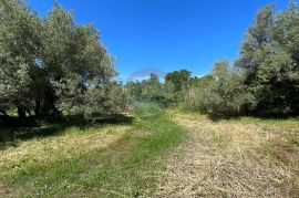 Poreč - okolica, 2 autohtone kamene kuće sa pogledom na more i kombinacijom građevinskog i poljoprivrednog zemljišta, Poreč, House