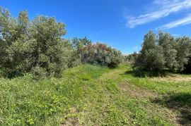 Poreč - okolica, 2 autohtone kamene kuće sa pogledom na more i kombinacijom građevinskog i poljoprivrednog zemljišta, Poreč, House