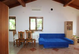 Istra, Novigrad - Dvosoban stan u mirnom dijelu grada Novigrada, Novigrad, Appartement