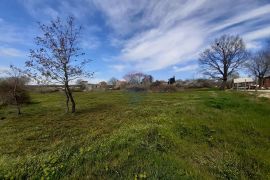 Istra, Baderna okolica građevinska parcela, Višnjan, Arazi