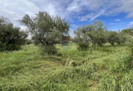 Vabriga - građevinsko zemljište turističke namjene, Poreč, Arazi