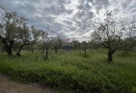 Vabriga - građevinsko zemljište turističke namjene, Poreč, Arazi