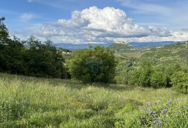 Motovun - okolica, građevinsko zemljište sa prekrasnim pogledom na Motovun, Karojba, Land