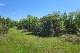 Istra, Vodnjan-Mednjan, poljoprivredno zemljište sa urednim pristupom, Vodnjan, Terreno