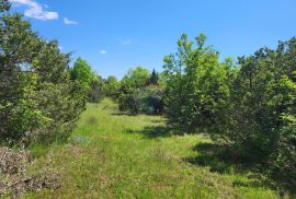 Istra, Vodnjan-Mednjan, poljoprivredno zemljište sa urednim pristupom, Vodnjan, Terreno