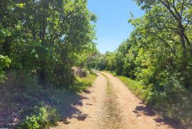 Istra, Vodnjan-Mednjan, poljoprivredno zemljište sa urednim pristupom, Vodnjan, Terreno