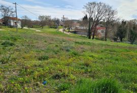 Istra, Karojba: Lijepa građevinska parcela južne orijentacije, Karojba, Terrain