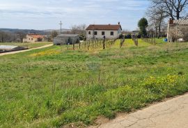 Istra, Karojba: Lijepa građevinska parcela južne orijentacije, Karojba, Terrain