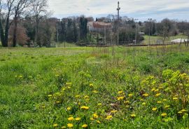 Istra, Karojba: Lijepa građevinska parcela južne orijentacije, Karojba, Terrain