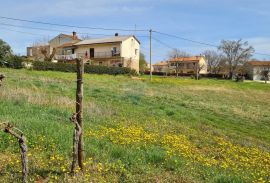 Istra, Karojba: Lijepa građevinska parcela južne orijentacije, Karojba, Terrain