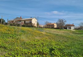 Istra, Karojba: Lijepa građevinska parcela južne orijentacije, Karojba, Terrain