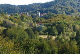 Crni Lug - građevinsko zemljište u blizini np Risnjak, 4950 m2, Delnice, Land