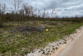 Višnjan - okolica, poljoprivredno zemljište uz asfaltiranu prometnicu, Tinjan, Tierra