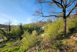 Cernik - Soboli teren poslovno  stambene namjene, Čavle, Terra