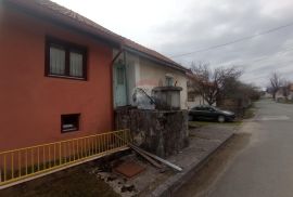 Drežnica,autohtona kuća sa zemljištem 25200 m2, Ogulin, Maison