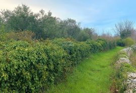 Poljoprivredno zemljište uz glavni put, Vodnjan, Land