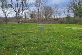 Istra, Manjadvorci, lijepa građevinska parcela na rubu mjesta, Barban, Terreno