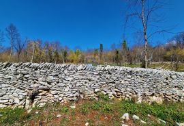 Istra,Grožnjan,okolica-Građevinsko zemljište u mirnom okruženju, Grožnjan, Land