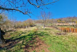 Istra,Grožnjan,okolica-Građevinsko zemljište u mirnom okruženju, Grožnjan, Land