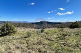 Motovun - okolica, poljoprivredno zemljište na izuzetnoj lokaciji, Karojba, Γη