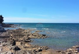 Umag - moderna novogradnja blizu plaže, Umag, Daire