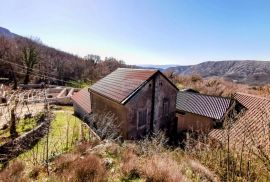 Tribalj, dvojna kuća s terasom, garažom i okućnicom, Vinodolska Općina, Casa