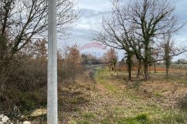 Tar, Vabriga - zemljište ugostiteljsko -turističke namjene, Poreč, Terrain