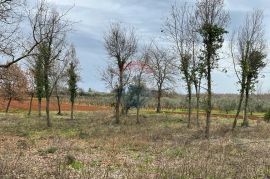 Tar, Vabriga - zemljište ugostiteljsko -turističke namjene, Poreč, Terrain