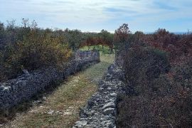 Istra, okolica Vodnjana, maslinik na 2 čestice, Vodnjan, Terrain