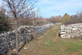 Istra, okolica Vodnjana, maslinik na 2 čestice, Vodnjan, Terrain