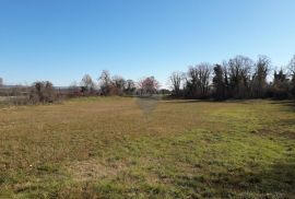 Istra,Šegotići,građevinsko-poljoprivredno zemljište, Marčana, Terrain