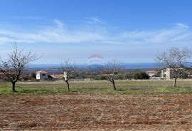 Poreč - okolica, prekrasno građevinsko zemljište otvorenog pogleda na more, Kaštelir-Labinci, Земля