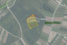 Građevinsko zemljište 17006 m2, Brezovica, Zagreb, Zagreb, Land